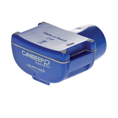 Collare Aggiuntivo Blu