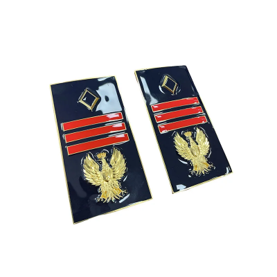 Gradi Assistente Capo Coordinatore Polizia di Stato